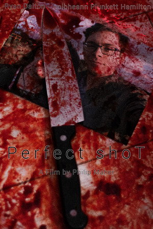 Perfect shoT poster