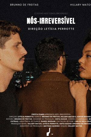Nós-Irreversível poster