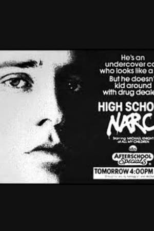High School Narc