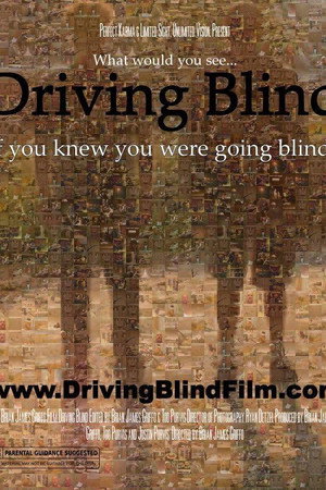 Driving Blind poster