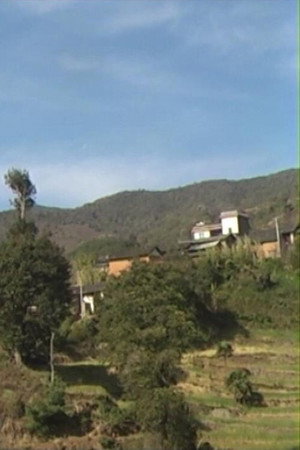 Huamulin 2012 poster
