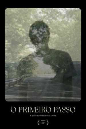 The first step poster