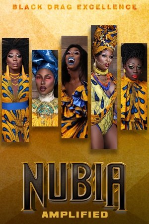 Nubia Amplified