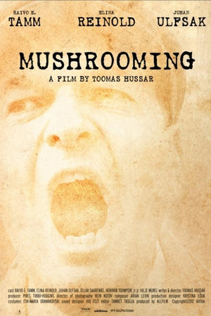 Ws4vtzumsmj4fpwmkwltr1wnamz