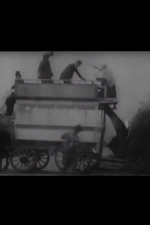 How the Old Woman Caught the Omnibus poster