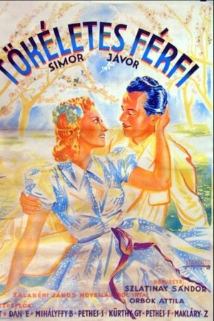 Tökéletes férfi