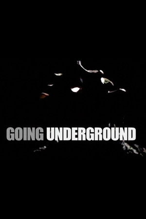 Going Underground