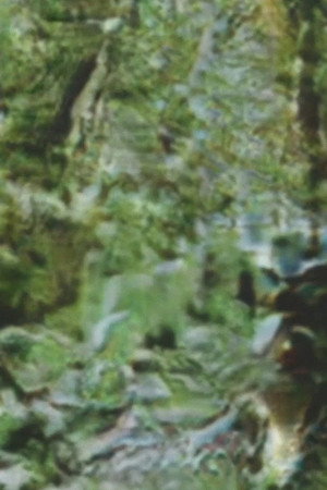 Untitled 3 (I withdraw.) poster