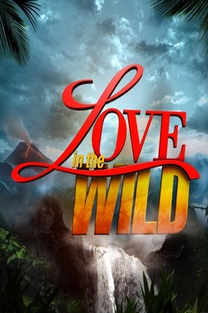 Love in the Wild