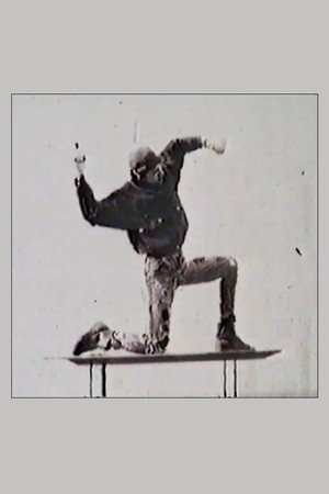 Captured by the Disabled poster