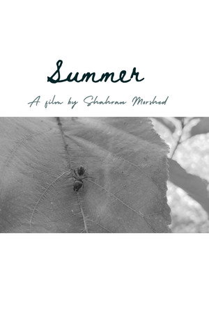 Summer poster