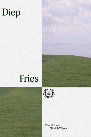 DiepFries poster