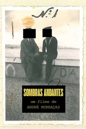 Walking Shadows poster