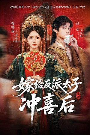 嫁给反派太子冲喜后