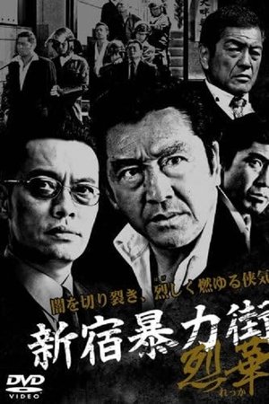 新宿暴力街2 ～烈華～