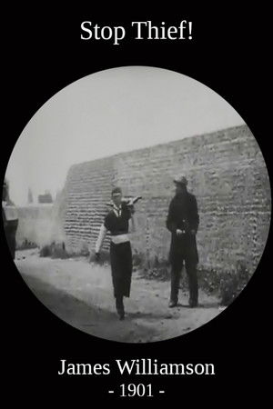 Poster of Stop Thief!