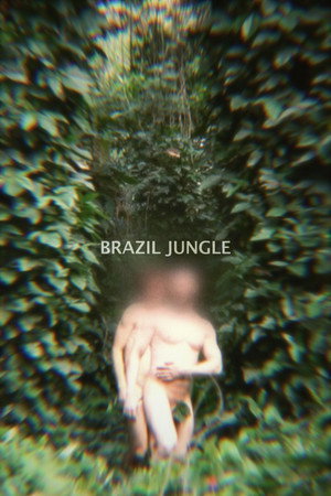 Brazil Jungle poster