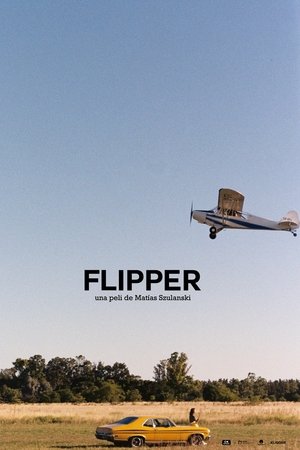 Flipper