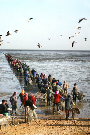 9-Kilometer Road in the Sea poster