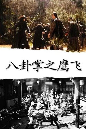 八卦掌之鹰飞