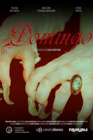 Domingo poster