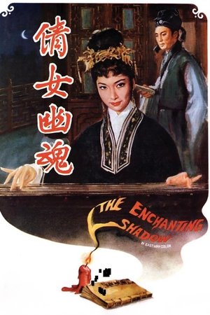 The Enchanting Shadow