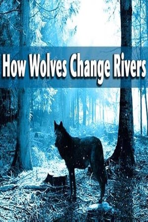 How Wolves Change Rivers How Wolves Change Rivers