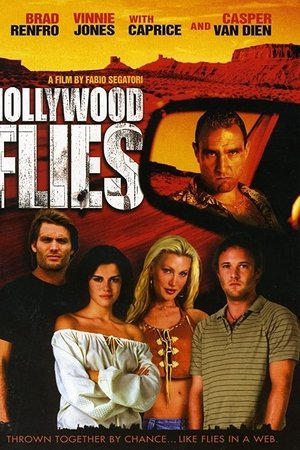 Hollywood Flies