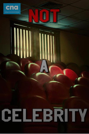 Not A Celebrity poster