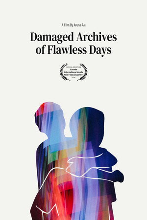 Damaged Archives of Flawless Days Damaged Archives of Flawless Days