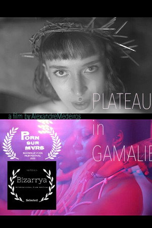 Plateaus in Gamaliel poster