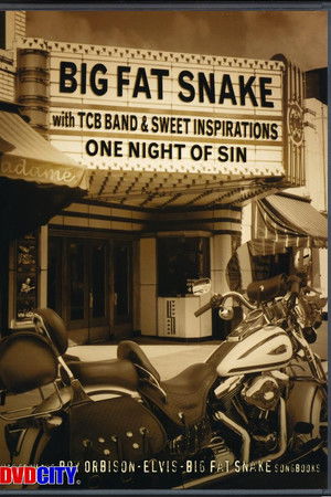 Big Fat Snake - One Night of Sin