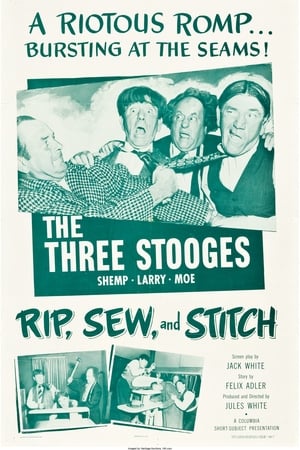 Rip, Sew and Stitch