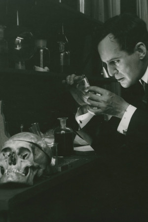 Skuggan av ett brott