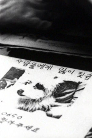 Doggy poster