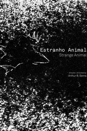 Estranho Animal Estranho Animal