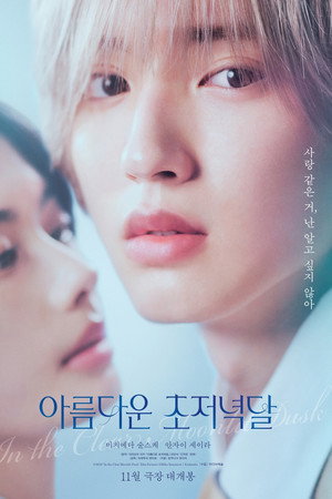 아름다운 초저녁달