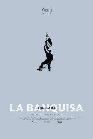 The Sea Ice poster