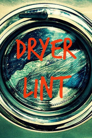 Dryer Lint poster