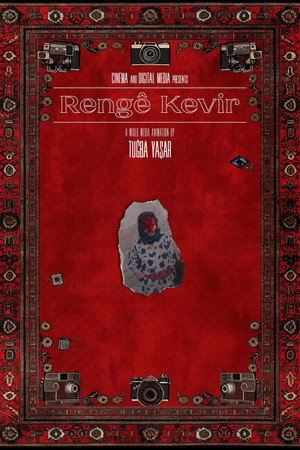 Color of the Stone poster