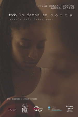 What's Left Fades Away poster
