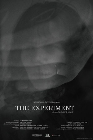 The Experiment poster