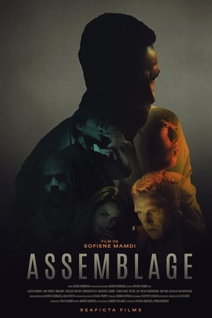 Assemblage