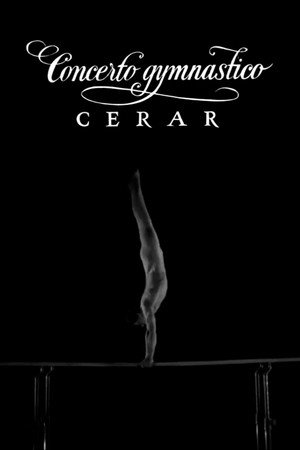 Gymnastic Performance poster