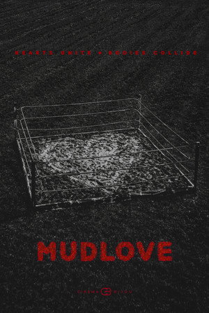 Mudlove poster