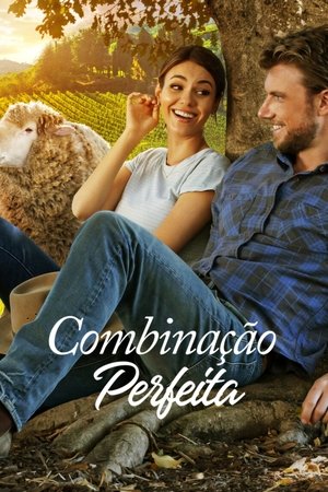 Imagem Combinação Perfeita