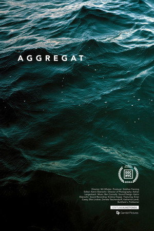 Aggregat poster