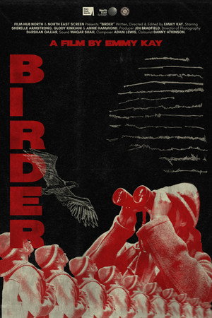 Birder Birder