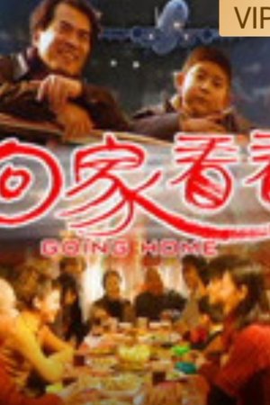 回家看看