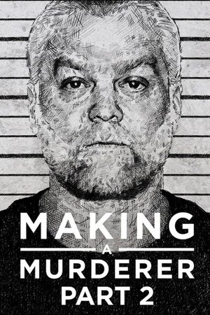 Making A Murderer
